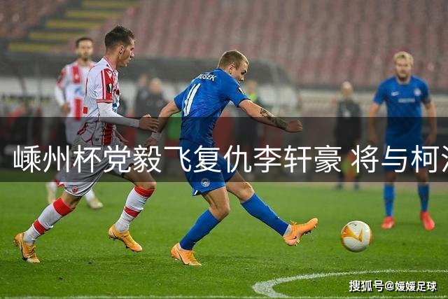 嵊州杯党毅飞复仇李轩豪 将与柯洁争夺王中王